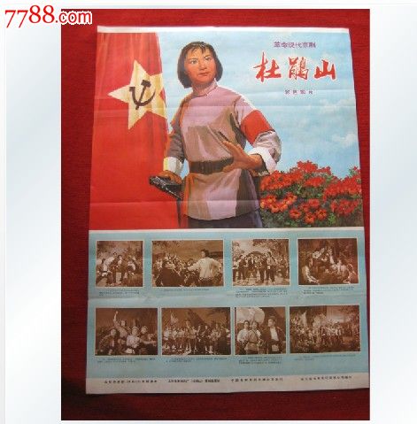 圣法兰西斯-萨维尔大学Accounting Diploma
